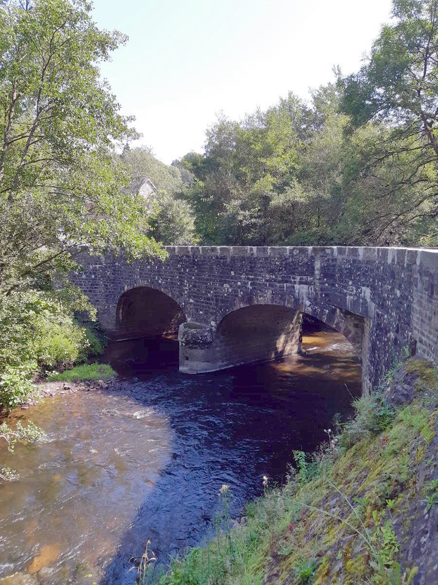 Pont sur la Sienne à La Baleine